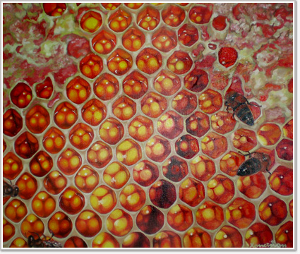Micro World  The Honey Comb